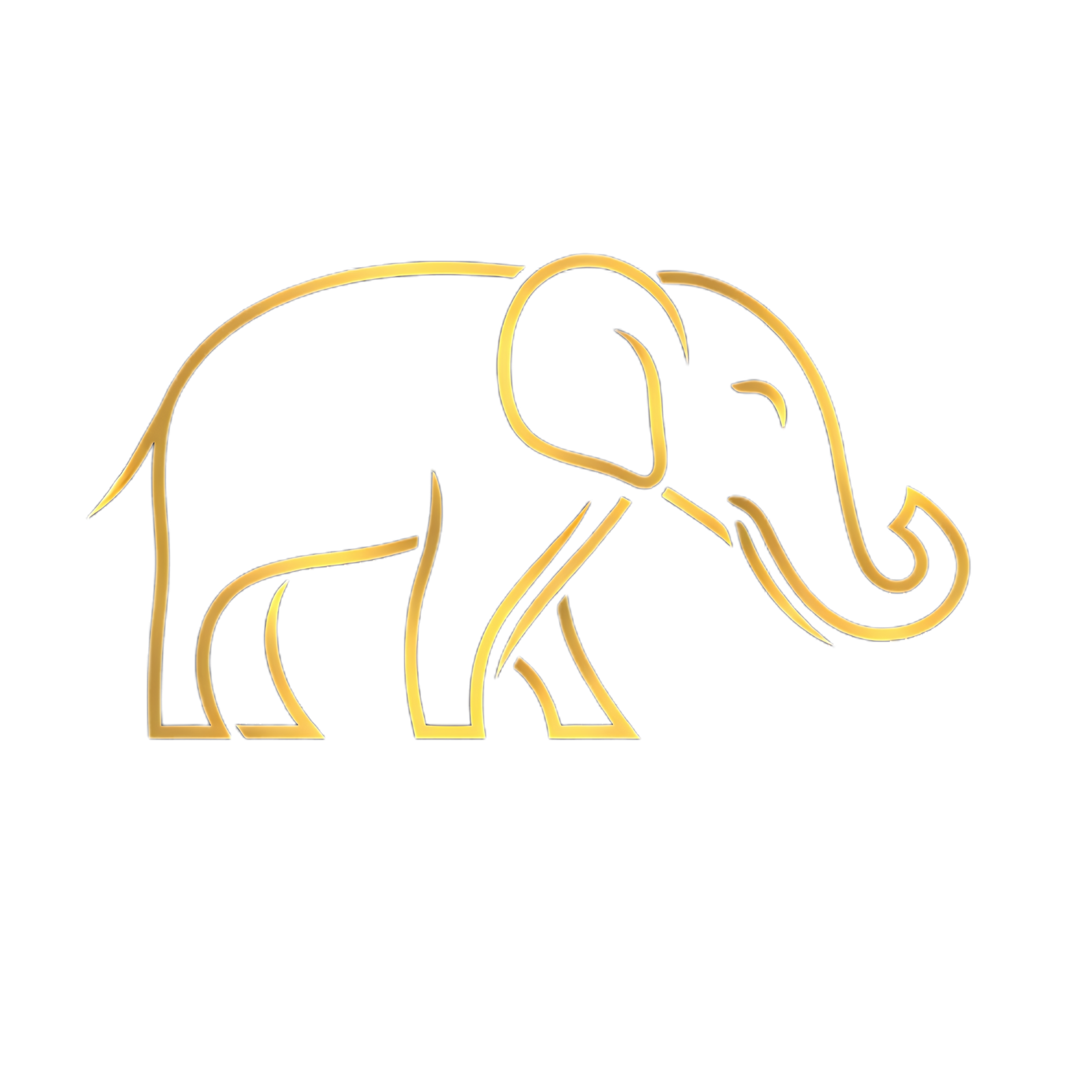 Mkhandela International