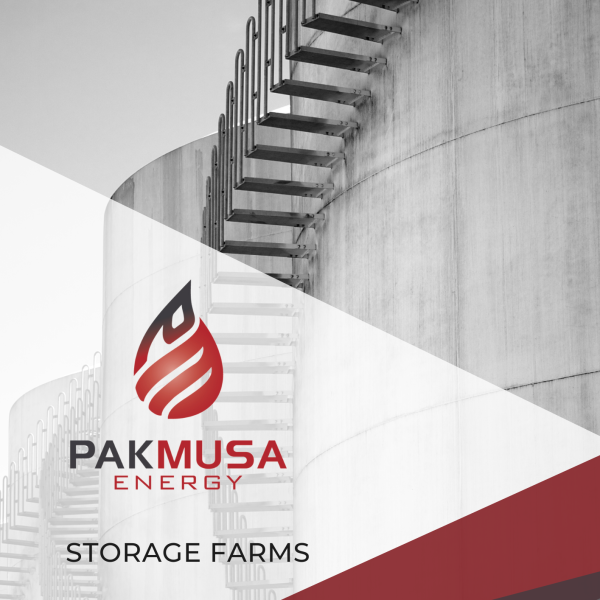 PAKMUSA ENERGY - BUSINESS PLAN FINAL